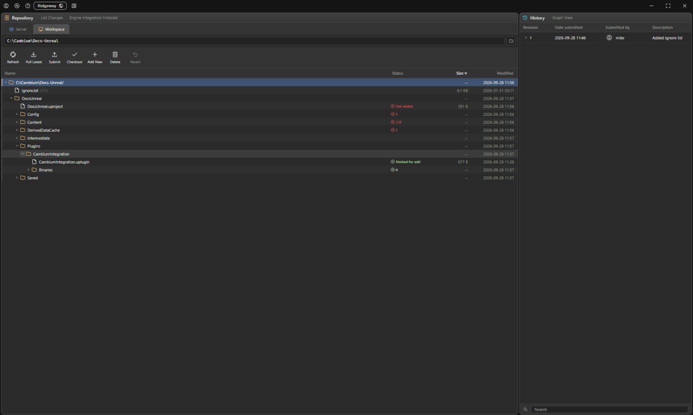 The plugin's files marked for add in the Workspace tab