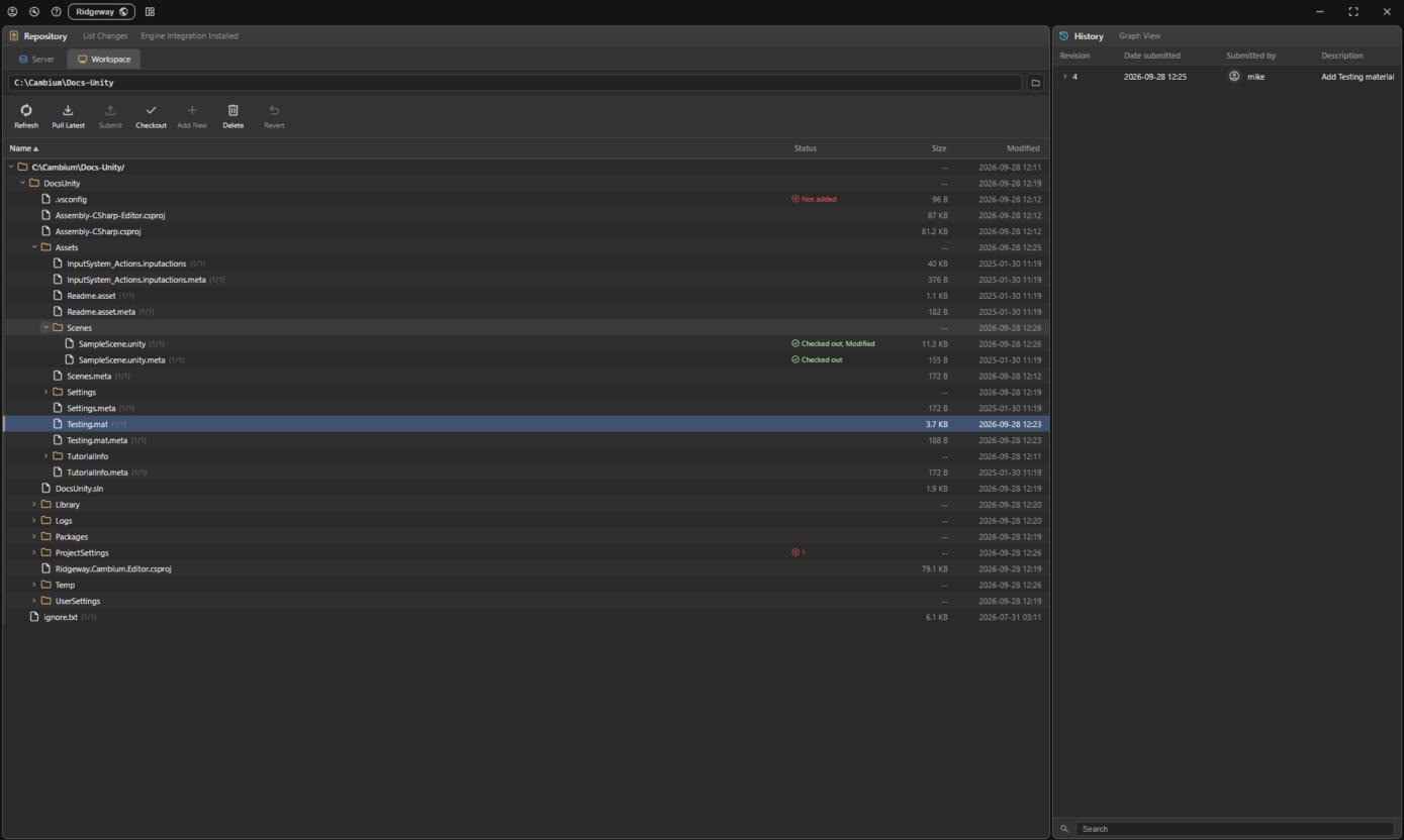 The desktop app showing a scene and its .meta checked out