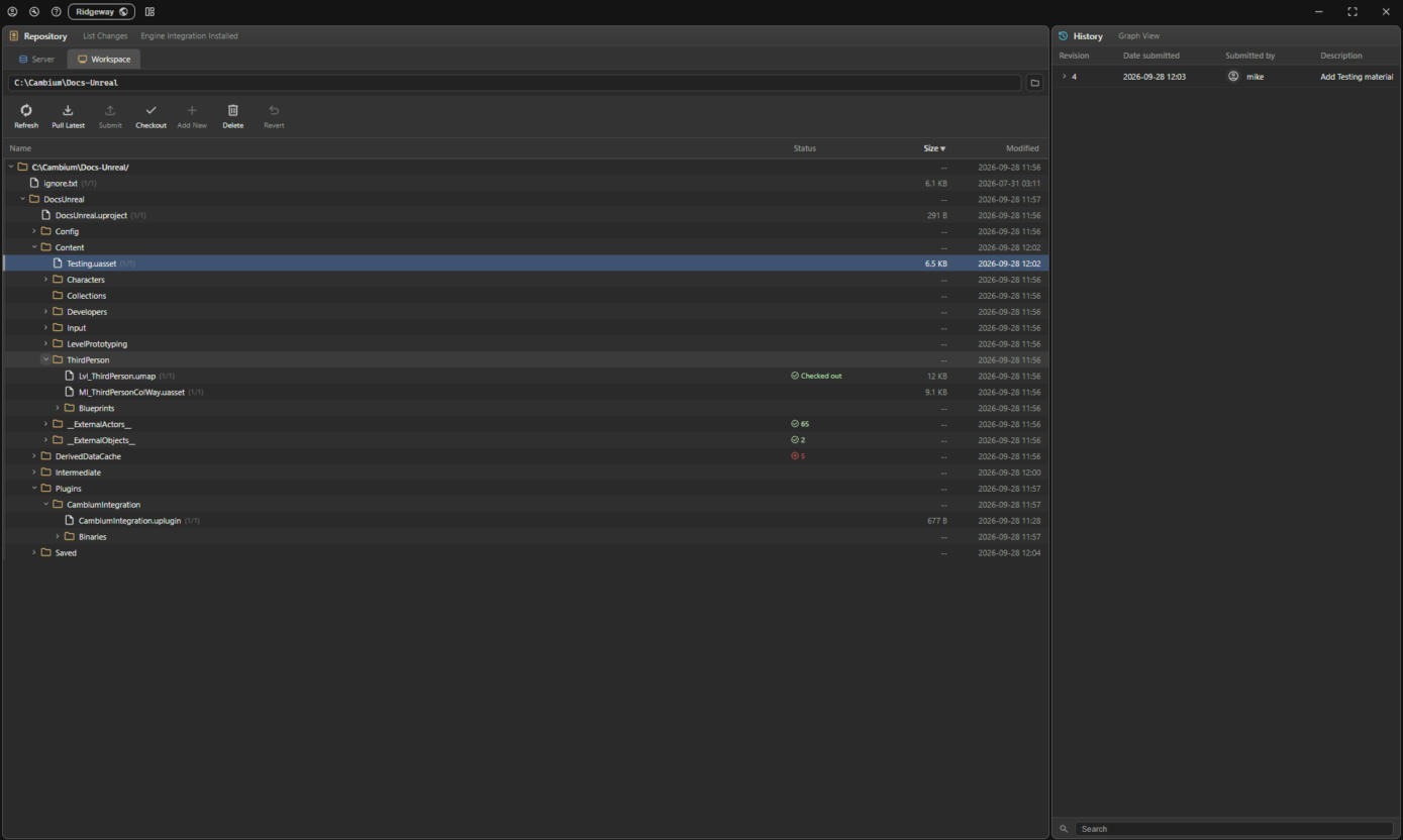 The desktop app showing the level and its 67 external packages checked out
