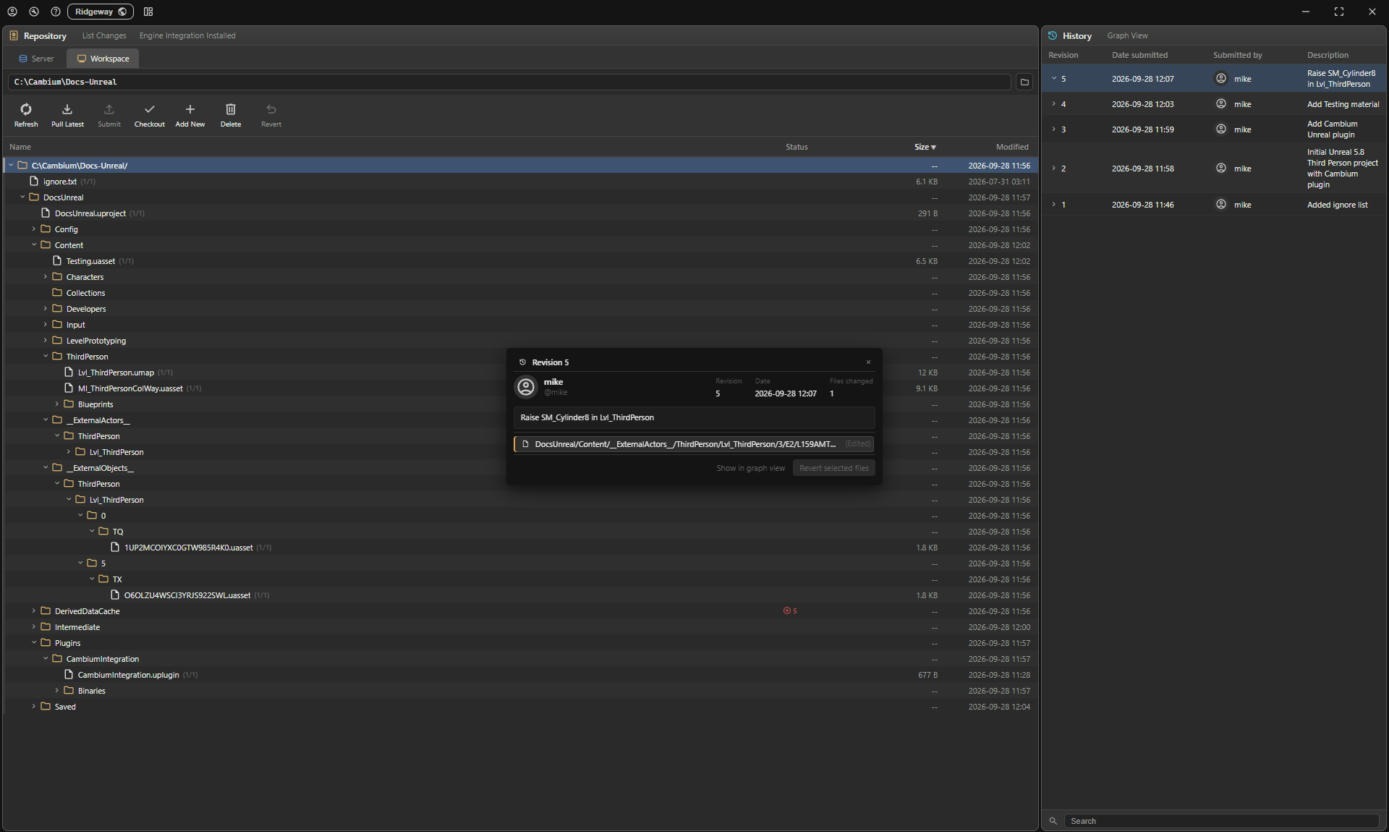 The resulting revision in the desktop app, containing one edited file